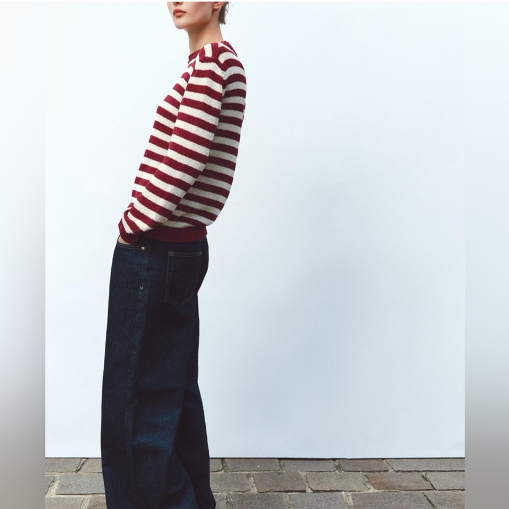 NWT Zara Striped Rustic Knit Sweater - Picture 4 of 5